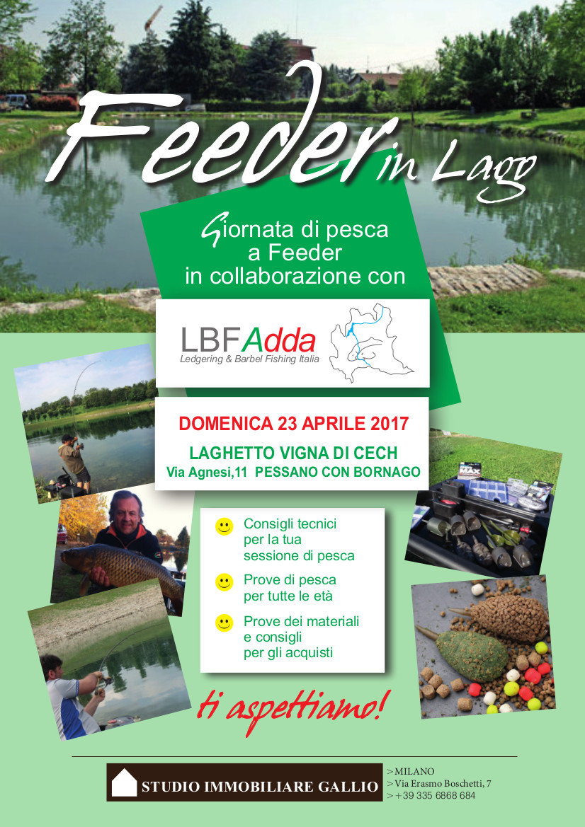 Locandina feeder in lago