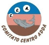 CCA