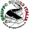 GSI