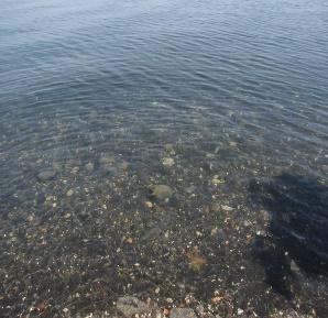 Lago di Bolsena