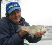 M. Molinari